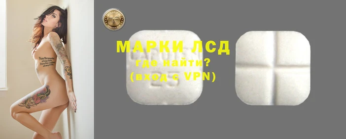 стаф Арсеньев